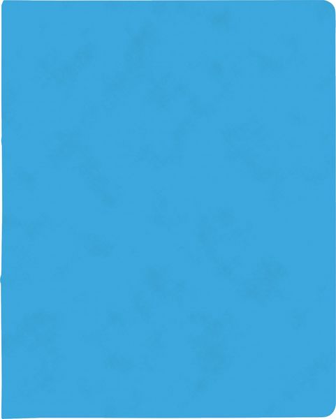Produktbild: Brunnen Ringbuch FACT!plus &brvbar; A4, 2 Ringe, F&uuml;llh&ouml;he: 15 mm, hellblau