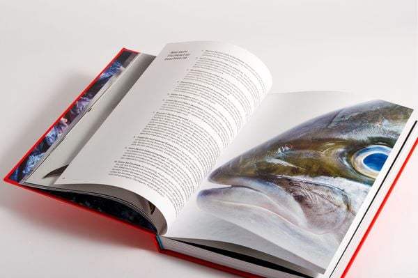 Produktbild: Man nehme einen Fisch