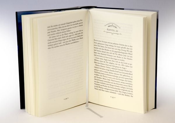 Produktbild: Der Glanz der Dunkelheit / Chroniken der Verbliebenen Bd. 4