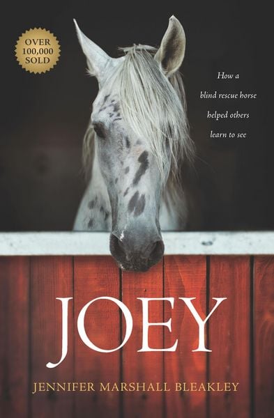 Produktbild: Joey