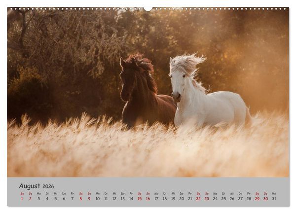 Produktbild: Spiegel deiner Seele (hochwertiger Premium Wandkalender 2026 DIN A2 quer), Kunstdruck in Hochglanz