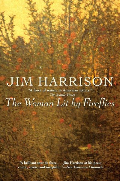 Produktbild: The Woman Lit by Fireflies