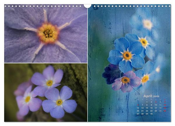 Produktbild: Blumenreise 2026 (Wandkalender 2026 DIN A3 quer), CALVENDO Monatskalender