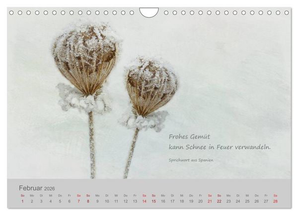 Produktbild: Jahres-Zeiten (Wandkalender 2026 DIN A4 quer), CALVENDO Monatskalender