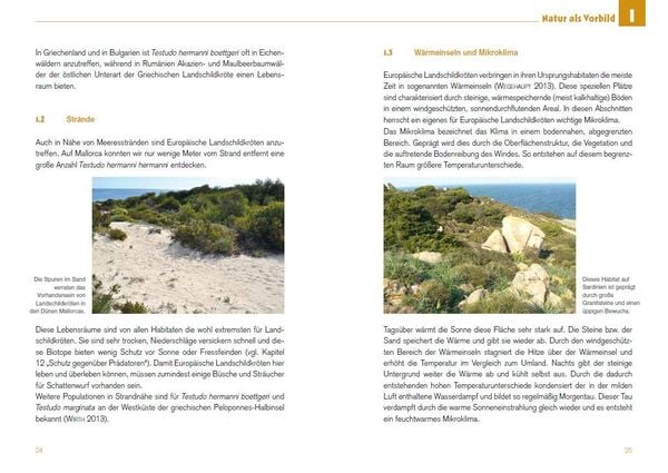 Produktbild: Freigehege f&uuml;r Europ&auml;ische Landschildkr&ouml;ten