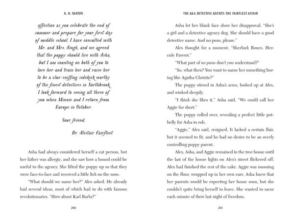 Produktbild: The A&a Detective Agency: The Fairfleet Affair