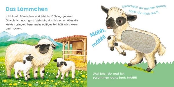 Produktbild: H&ouml;r mal, wie ich knabbern kann (Mein erstes Streichel-Soundbuch 5)