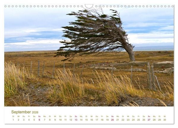 Produktbild: Weites Argentinien (Wandkalender 2026 DIN A3 quer), CALVENDO Monatskalender