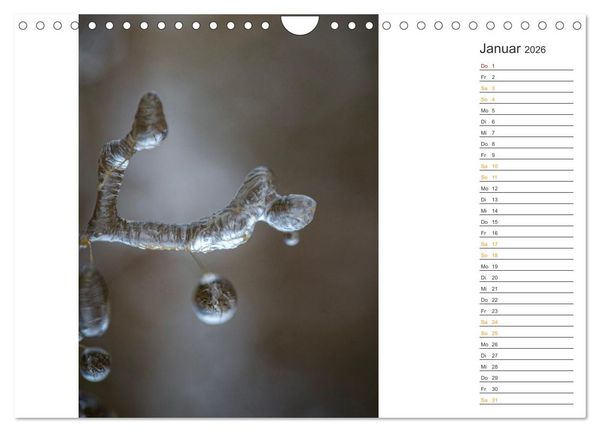 Produktbild: Kleine Wunder vor der Haust&uuml;r (Wandkalender 2026 DIN A4 quer), CALVENDO Monatskalender