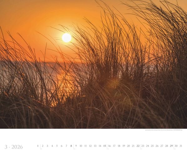 Produktbild: Sylt 2026 - Bildkalender XXL 60x50 cm - hochwertiger Wandkalender im Querformat - Landschaftskalender - Wandplaner - Deutsche Küsten