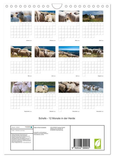 Produktbild: Schafe - 12 Monate in der Herde (Wandkalender 2026 DIN A4 hoch), CALVENDO Monatskalender
