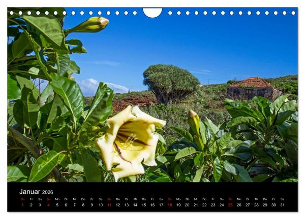 Produktbild: La Palma - die gr&uuml;ne Insel (Wandkalender 2026 DIN A4 quer), CALVENDO Monatskalender