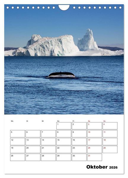 Produktbild: Die Eisberge von Ilulissat (Wandkalender 2026 DIN A4 hoch), CALVENDO Monatskalender