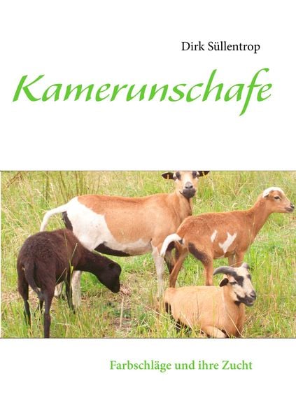 Produktbild: Kamerunschafe