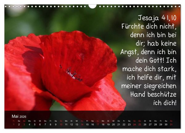 Produktbild: Sch&ouml;pfung im Licht (Wandkalender 2026 DIN A3 quer), CALVENDO Monatskalender