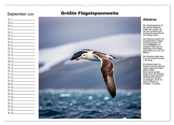 Produktbild: Tierische Rekorde (Wandkalender 2026 DIN A2 quer), CALVENDO Monatskalender