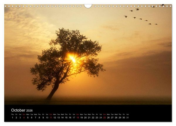 Produktbild: Dutch Landscapes: Alblasserwaard 2026 (Wall Calendar 2026 DIN A3 landscape), CALVENDO 12 Month Wall Calendar