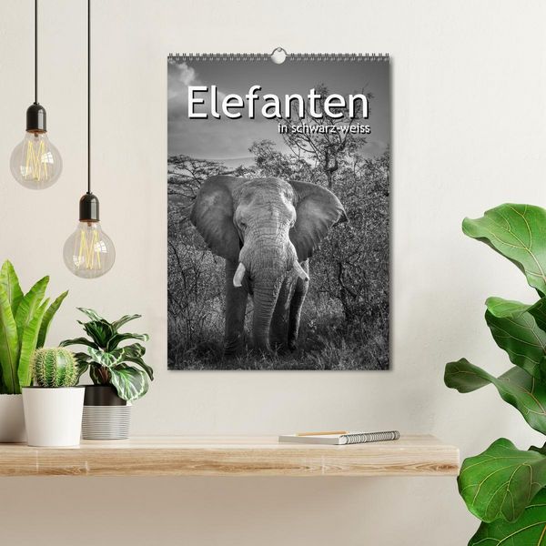 Produktbild: Elefanten in schwarz-weiss (Wandkalender 2026 DIN A3 hoch), CALVENDO Monatskalender