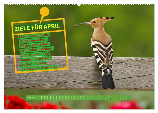 Produktbild: ZIELE Monat f&uuml;r Monat (hochwertiger Premium Wandkalender 2026 DIN A2 quer), Kunstdruck in Hochglanz