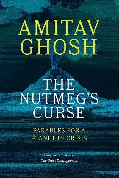 Produktbild: The Nutmeg's Curse