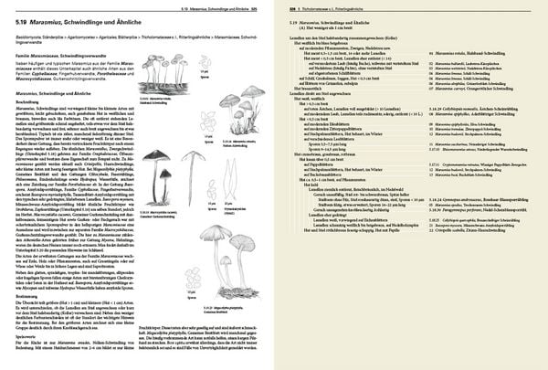 Produktbild: Pilze Mitteleuropas