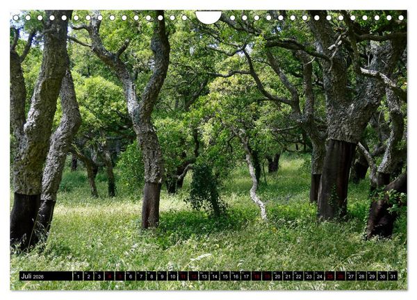 Produktbild: Sardinien - Der Norden (Wandkalender 2026 DIN A4 quer), CALVENDO Monatskalender