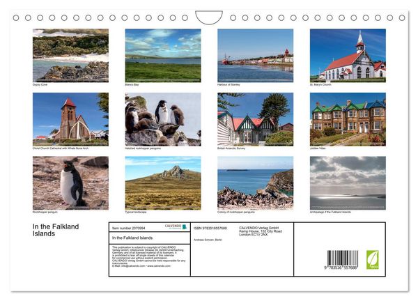 Produktbild: In the Falkland Islands (Wall Calendar 2026 DIN A4 landscape), CALVENDO 12 Month Wall Calendar