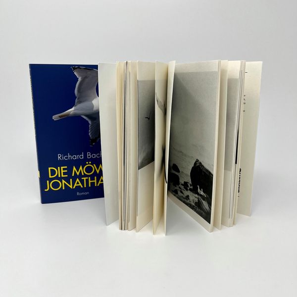 Produktbild: Die M&ouml;we Jonathan