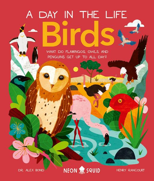 Produktbild: Birds (a Day in the Life)