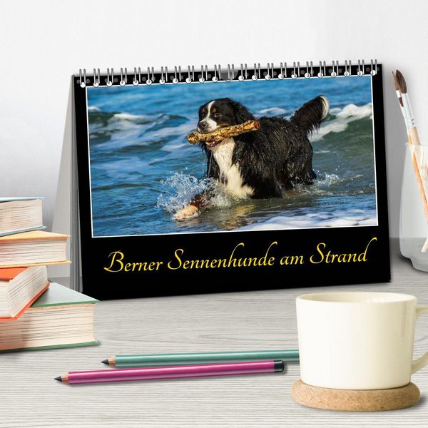 Produktbild: Berner Sennenhunde am Strand (Tischkalender 2026 DIN A5 quer), CALVENDO Monatskalender