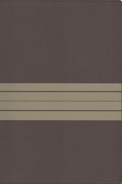 Produktbild: Zondervan: NIV, Thinline Bible, Large Print, Imitation Leath
