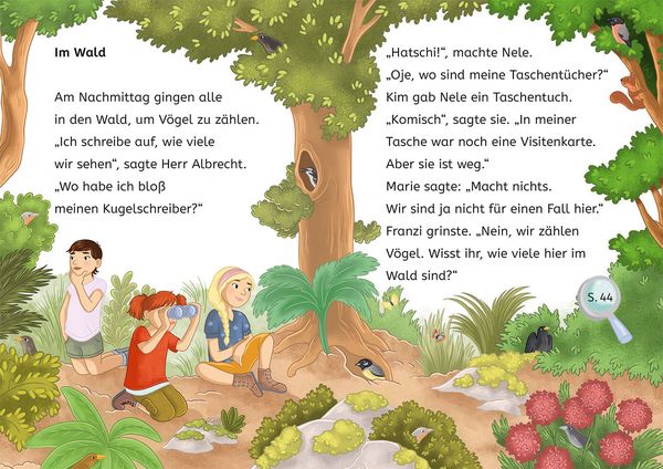 Die drei !!!, Bücherhelden 2. Klasse, Diebe in Sicht