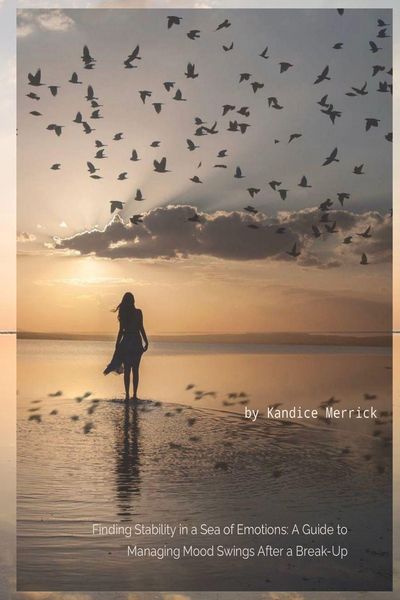 Produktbild: Finding Stability in a Sea of Emotions
