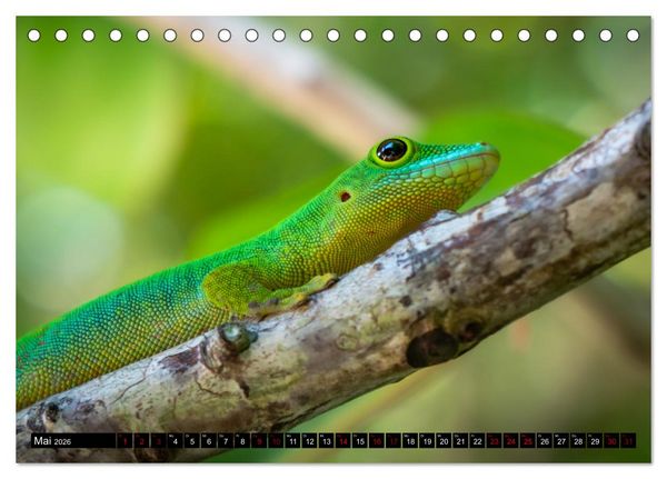 Produktbild: Seychellen - Das wahre Paradies (Tischkalender 2026 DIN A5 quer), CALVENDO Monatskalender