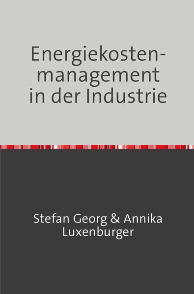 Produktbild: Energiekostenmanagement in der Industrie