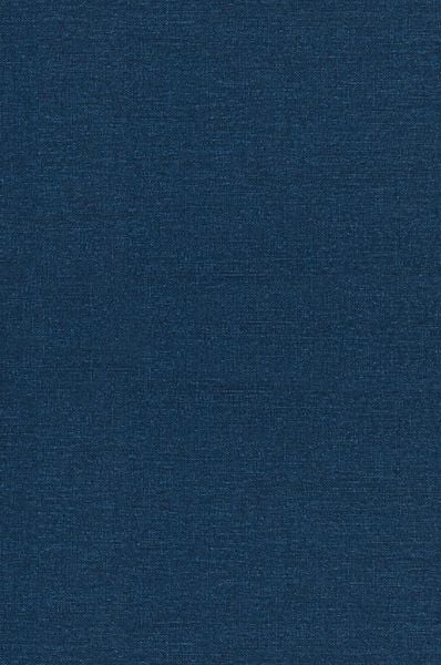 Produktbild: Introduction to Fourier Analysis on Euclidean Spaces