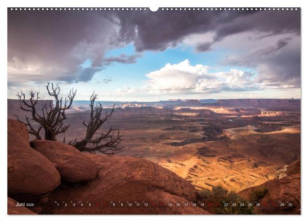 Produktbild: Wunder Natur II (Wandkalender 2026 DIN A2 quer), CALVENDO Monatskalender