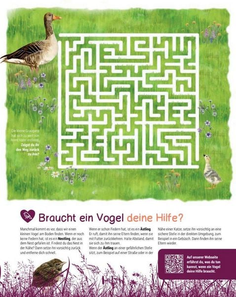 Produktbild: Birding &ndash; Entdecke die Wunderwelt der V&ouml;gel.