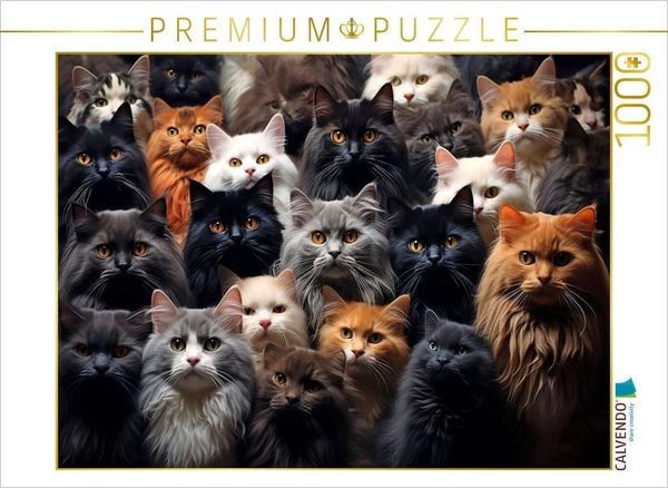 CALVENDO Puzzle Viele Katzen auf einem Bild | 1000 Teile Lege-Größe 64x48cm Foto-Puzzle für glückliche Stunden