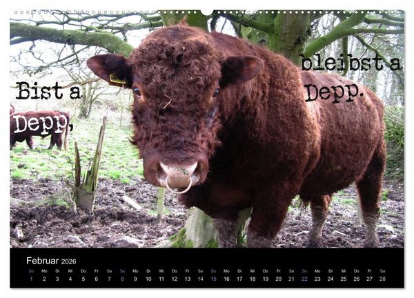 Produktbild: Baierische Lebensweisheiten (hochwertiger Premium Wandkalender 2026 DIN A2 quer), Kunstdruck in Hochglanz