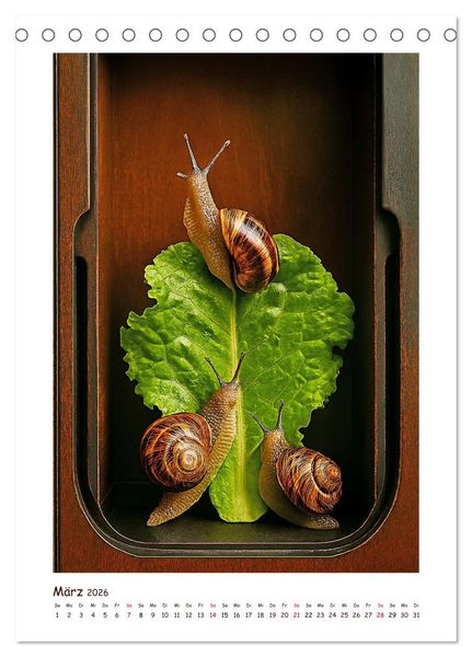 Produktbild: Wer f&auml;hrt denn da? Ein tierisches Paternoster Vergn&uuml;gen (Tischkalender 2026 DIN A5 hoch), CALVENDO Monatskalender