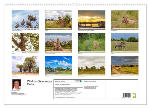 Produktbild: Wildnis Okavango-Delta (Wandkalender 2026 DIN A2 quer), CALVENDO Monatskalender