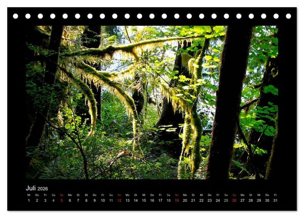 Produktbild: W&auml;lder, fotografiert auf vier Kontinenten (Tischkalender 2026 DIN A5 quer), CALVENDO Monatskalender