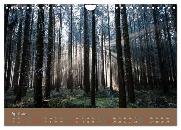 Produktbild: Fasziantion Natur (Wandkalender 2026 DIN A4 quer), CALVENDO Monatskalender