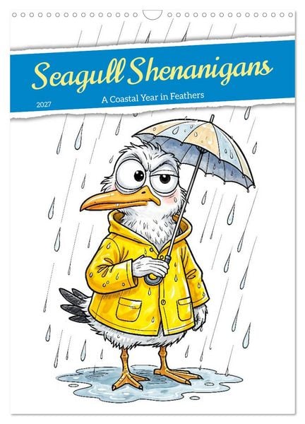 Produktbild: Seagull Shenanigan - A Coastal Year in Feathers (Wall Calendar 2027 DIN A3 portrait), CALVENDO 12 Month Wall Calendar