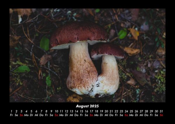 Produktbild: Pilzkalender 2025 Fotokalender DIN A3