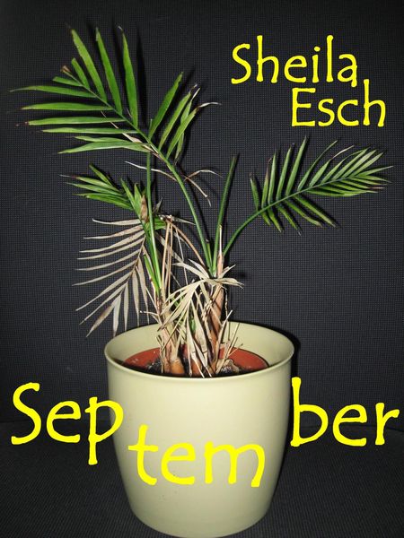 Produktbild: September