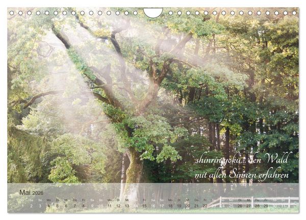 Produktbild: Shinrin yoku - Waldbaden 2026 (Wandkalender 2026 DIN A4 quer), CALVENDO Monatskalender