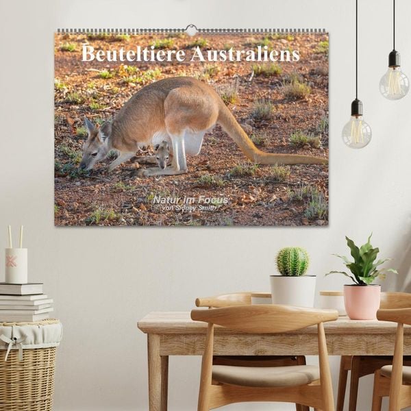 Produktbild: Beuteltiere Australiens (Wandkalender 2026 DIN A2 quer), CALVENDO Monatskalender