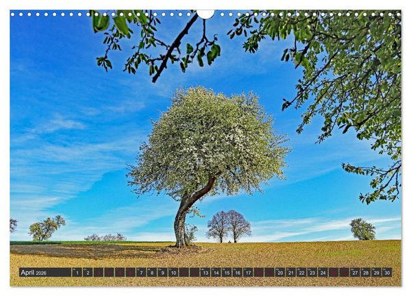 Produktbild: Karlsruhes Osten (Wandkalender 2026 DIN A3 quer), CALVENDO Monatskalender